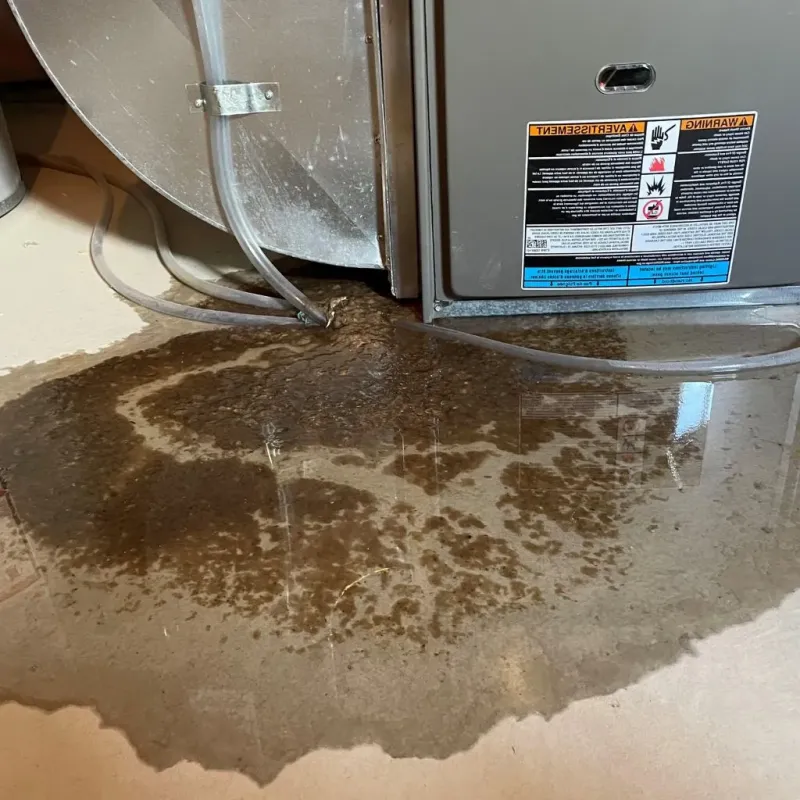 Pipe Burst and Leak Restoration in Nashua, NH